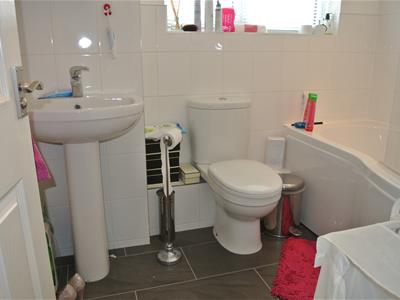 Picture 3